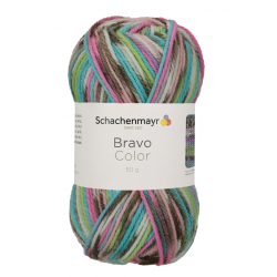 Bravo Color 2083