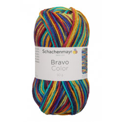 Bravo Color 2131